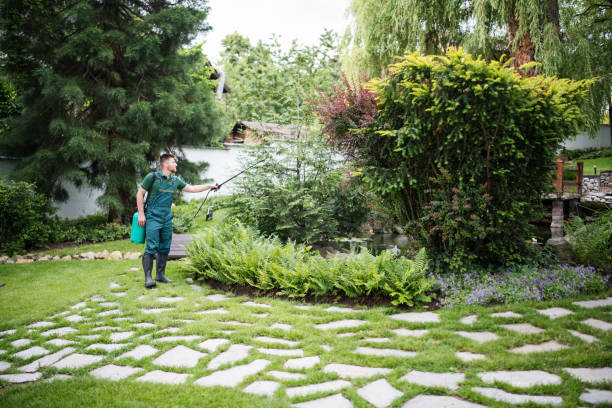 Best Pest Removal Services  in West Chester, PA