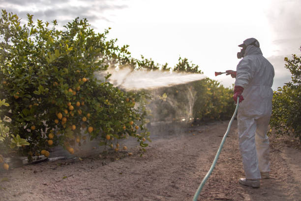 Professional Pest Control in West Chester, PA