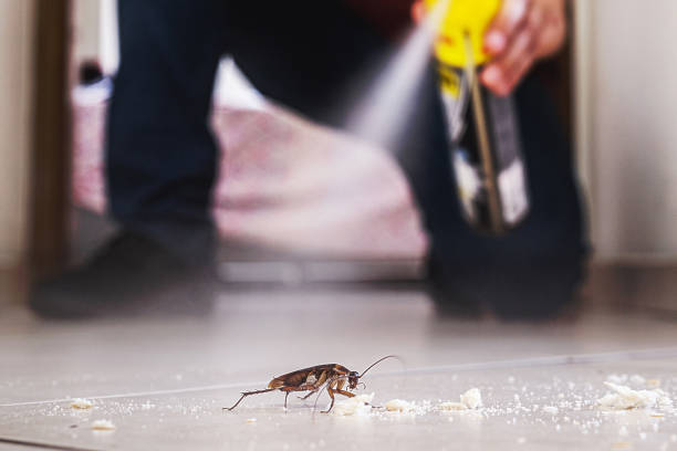 Best Commercial Pest Control Services  in West Chester, PA